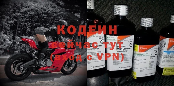 спиды Горняк